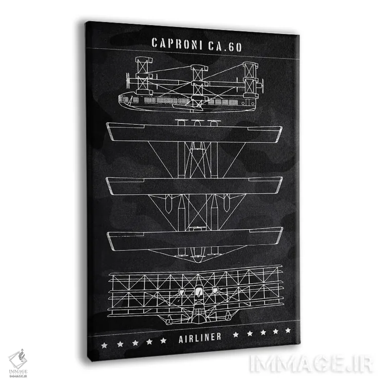 تابلو دکوراتیو کاپرونی Ca.60 اثر جوزف فرناندو - نمای پرسپکتیو محصول