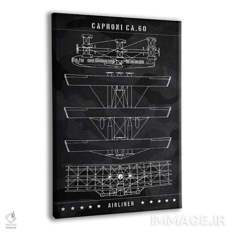 تابلو دکوراتیو کاپرونی Ca.60 اثر جوزف فرناندو - نمای پرسپکتیو محصول