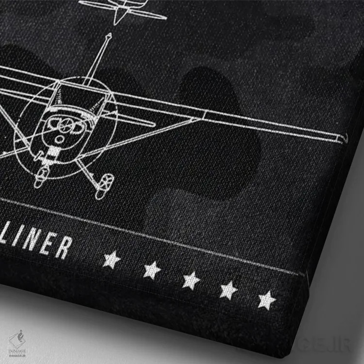 تابلو دکوراتیو سسنا ۱۷۲ اسکای هاوک اثر جوزف فرناندو - نمای نزدیک بافت بوم