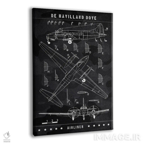 تابلو دکوراتیو دی هاویلند داو اثر جوزف فرناندو - نمای پرسپکتیو محصول