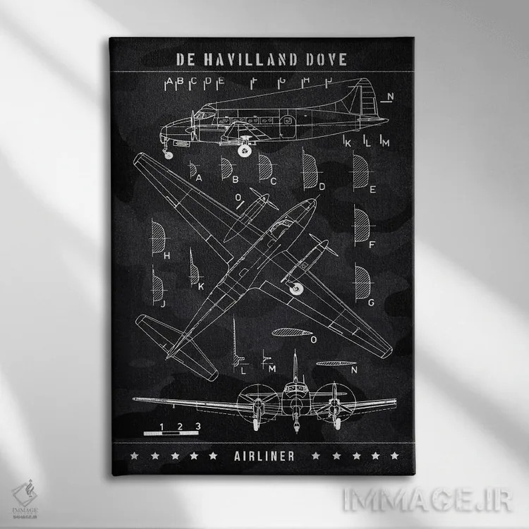 تابلو دکوراتیو دی هاویلند داو اثر جوزف فرناندو - نمای روبهرو روی دیوار