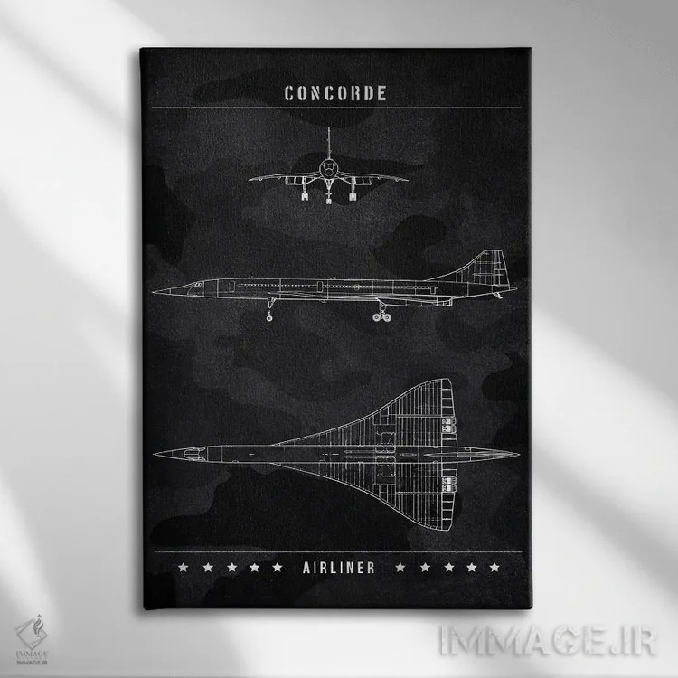 تابلو دکوراتیو کنکورد اثر جوزف فرناندو - نمای روبهرو روی دیوار