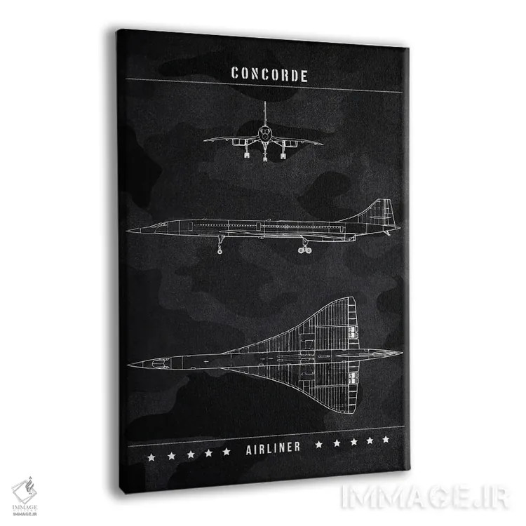 تابلو دکوراتیو کنکورد اثر جوزف فرناندو - نمای پرسپکتیو محصول