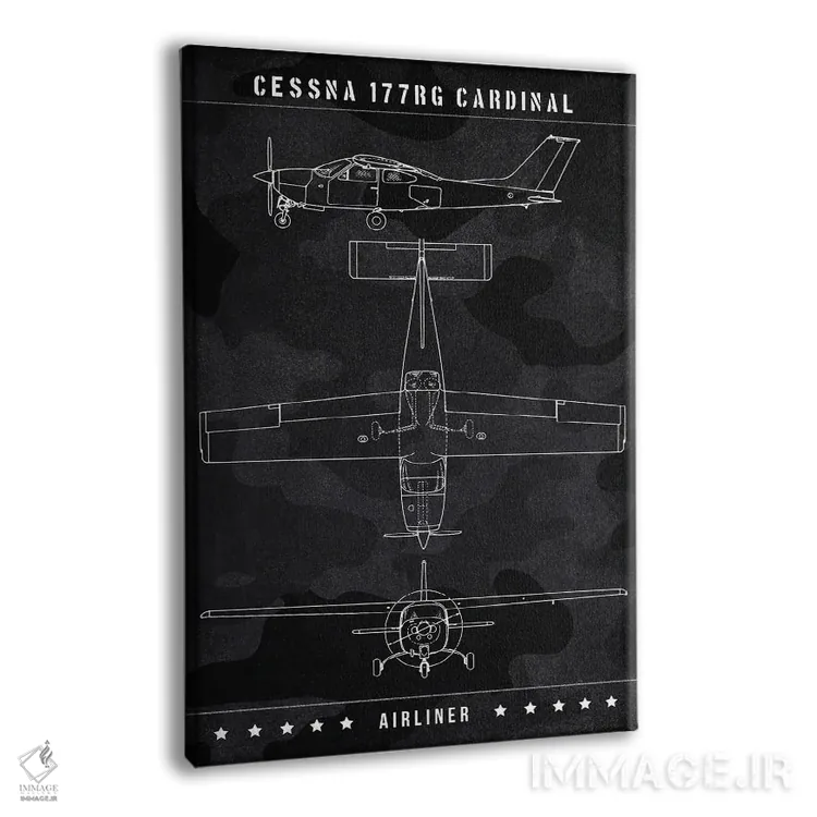 تابلو دکوراتیو سسنا ۱۷۷RG کارباورال اثر جوزف فرناندو - نمای پرسپکتیو محصول