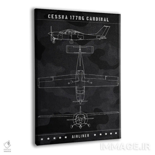 تابلو دکوراتیو سسنا ۱۷۷RG کارباورال اثر جوزف فرناندو - نمای پرسپکتیو محصول