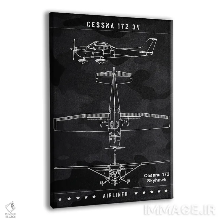 تابلو دکوراتیو سسنا اثر جوزف فرناندو - نمای پرسپکتیو محصول