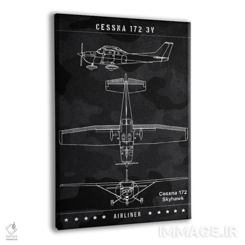 تابلو دکوراتیو سسنا اثر جوزف فرناندو - نمای پرسپکتیو محصول