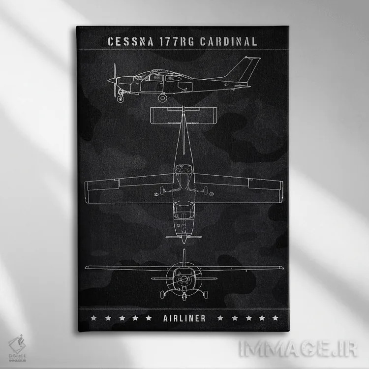 تابلو دکوراتیو سسنا ۱۷۷RG کارباورال اثر جوزف فرناندو - نمای روبهرو روی دیوار