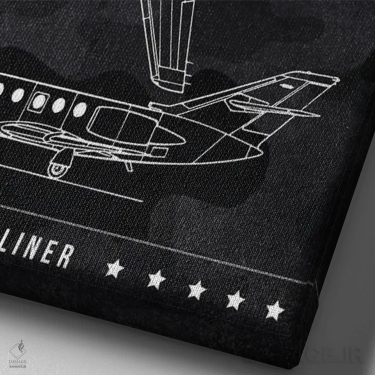 تابلو دکوراتیو داسو فالکن ۲۰ اثر جوزف فرناندو - نمای نزدیک بافت بوم