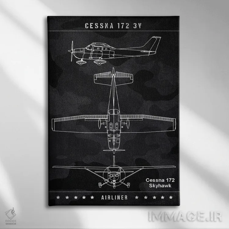 تابلو دکوراتیو سسنا اثر جوزف فرناندو - نمای روبهرو روی دیوار