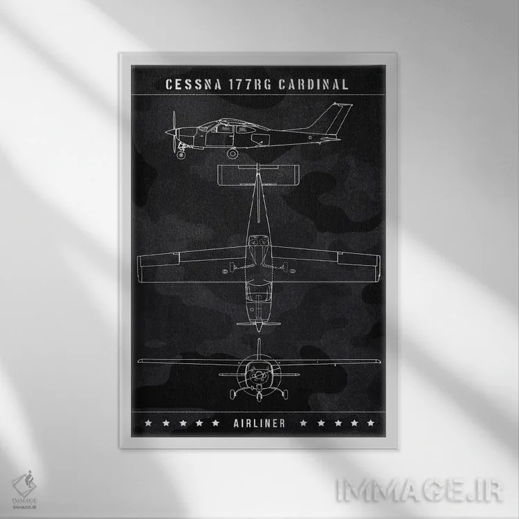 تابلو دکوراتیو سسنا ۱۷۷RG کارباورال اثر جوزف فرناندو - نمای قابدار سفید