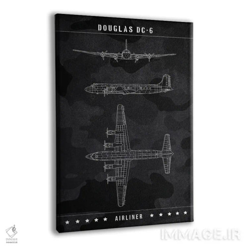 تابلو دکوراتیو داگلاس DC-6 اثر جوزف فرناندو - نمای پرسپکتیو محصول
