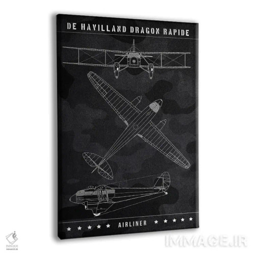 تابلو دکوراتیو دی هاویلند دراگون رپید اثر جوزف فرناندو - نمای پرسپکتیو محصول