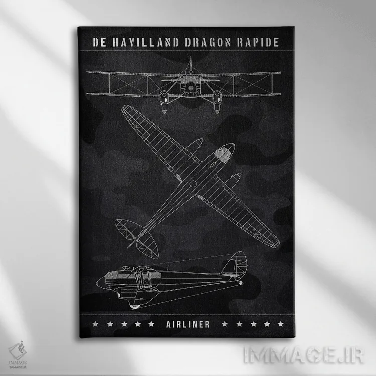 تابلو دکوراتیو دی هاویلند دراگون رپید اثر جوزف فرناندو - نمای روبهرو روی دیوار