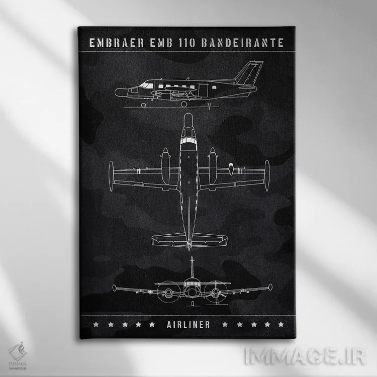 تابلو دکوراتیو امبرائر EMB 110 باندیرانته اثر جوزف فرناندو - نمای روبهرو روی دیوار