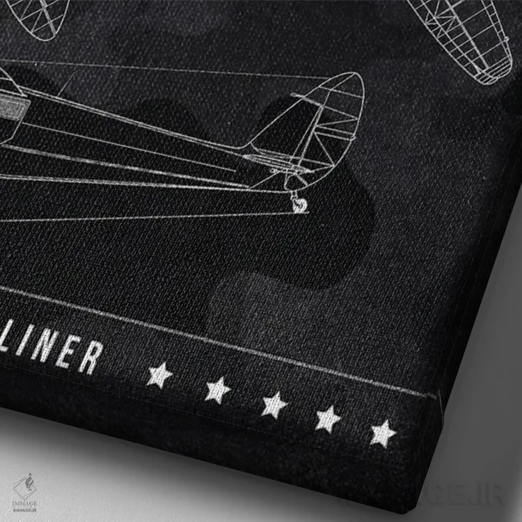 تابلو دکوراتیو دی هاویلند دراگون رپید اثر جوزف فرناندو - نمای نزدیک بافت بوم