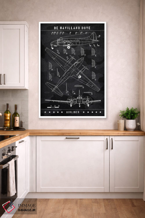 تابلو دکوراتیو دی هاویلند داو اثر جوزف فرناندو - D3W