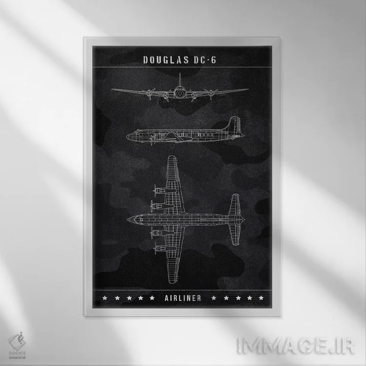 تابلو دکوراتیو داگلاس DC-6 اثر جوزف فرناندو - نمای قابدار سفید