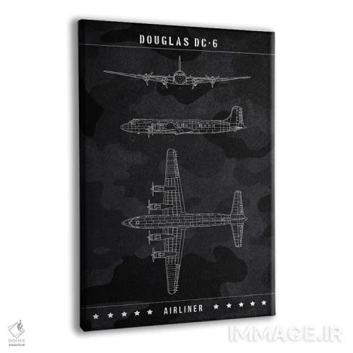 تابلو دکوراتیو داگلاس DC اثر جوزف فرناندو - نمای پرسپکتیو محصول