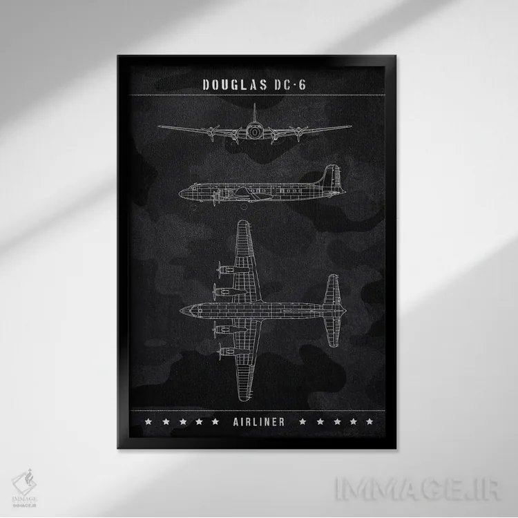 تابلو دکوراتیو داگلاس DC اثر جوزف فرناندو - نمای قابدار مشکی