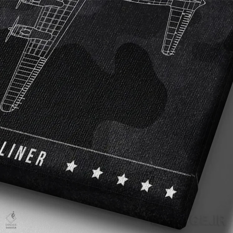 تابلو دکوراتیو داگلاس DC اثر جوزف فرناندو - نمای نزدیک بافت بوم