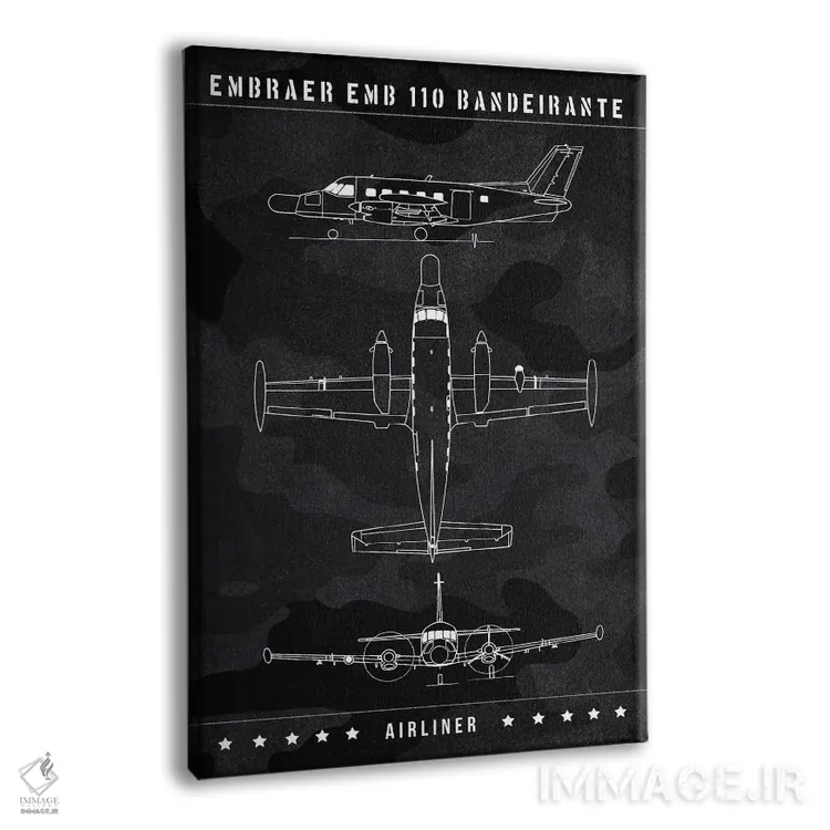 تابلو دکوراتیو امبرائر EMB اثر جوزف فرناندو - نمای پرسپکتیو محصول