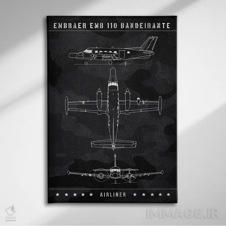 تابلو دکوراتیو امبرائر EMB اثر جوزف فرناندو - نمای روبهرو روی دیوار