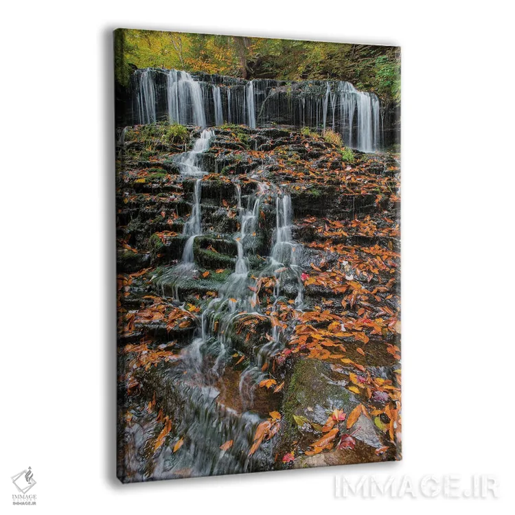 تابلو دکوراتیو Mohawk Falls, Kitchen Creek, Ricketts Glen State Park, Pennsylva… اثر جف فوت - نمای پرسپکتیو محصول