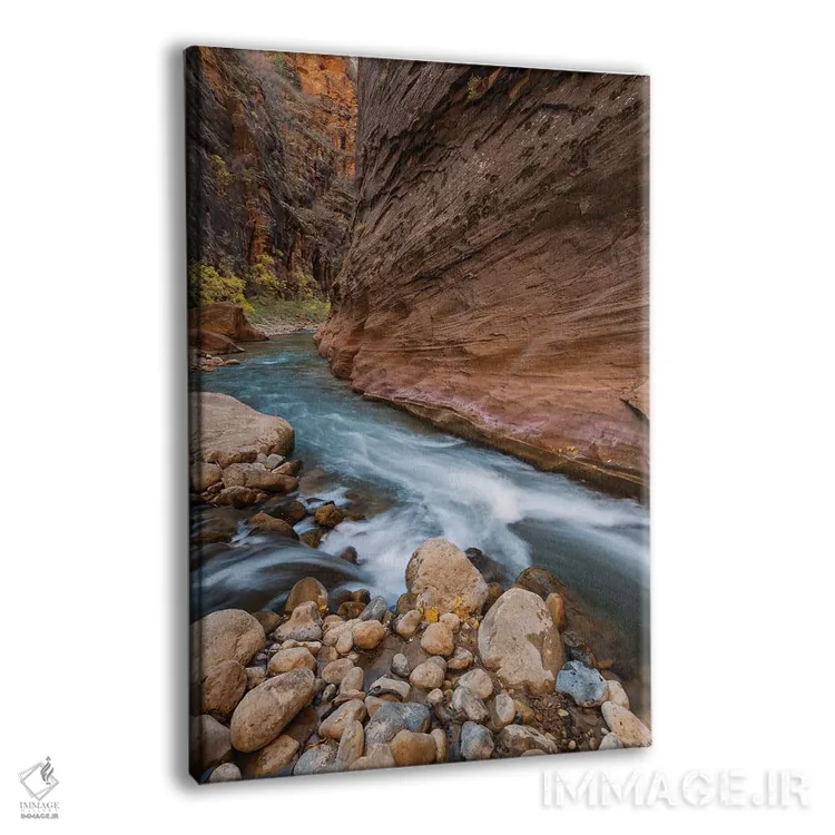 تابلو دکوراتیو Zion National Park, Utah,رودخانه ویرجین، پارک ملی صهیون، یوتا اثر جف فوت - نمای پرسپکتیو محصول