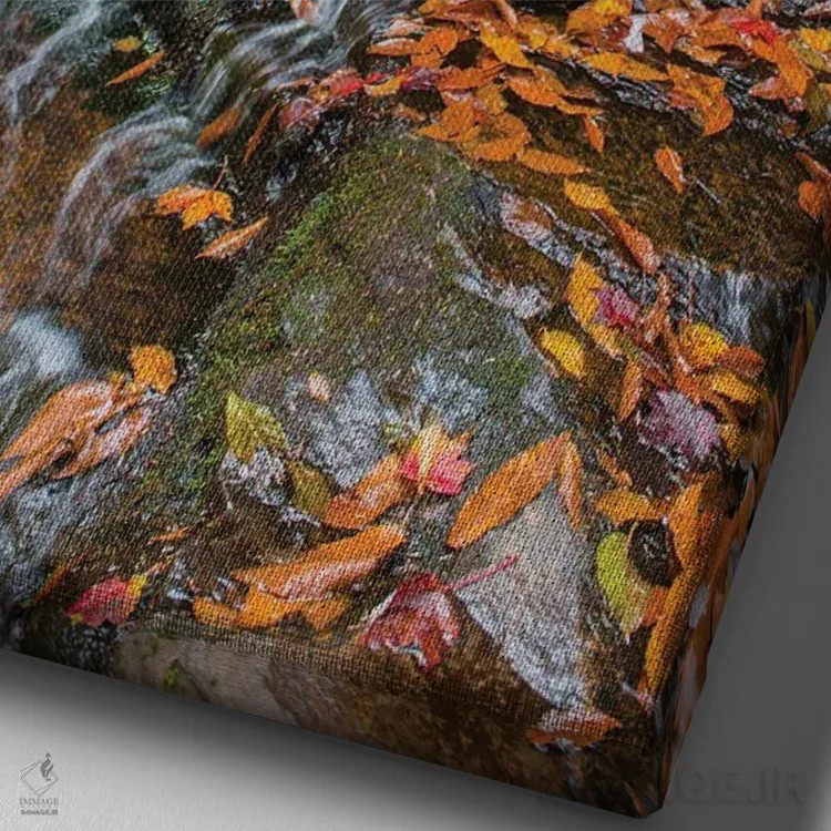 تابلو دکوراتیو Mohawk Falls, Kitchen Creek, Ricketts Glen State Park, Pennsylva… اثر جف فوت - نمای نزدیک بافت بوم