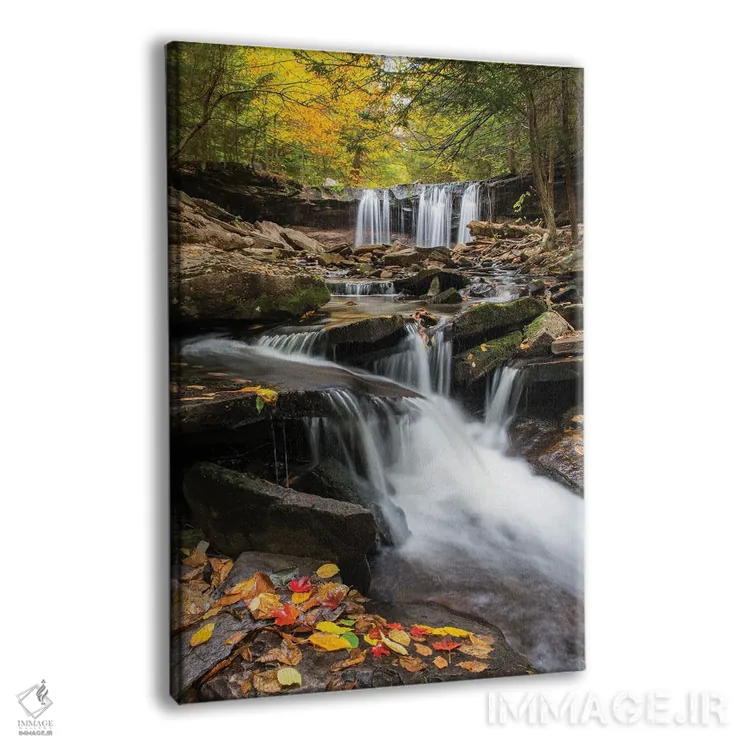 تابلو دکوراتیو Ricketts Glen State Park, Pennsylvania,آبشار اونایدا، پارک ایالت… اثر جف فوت - نمای پرسپکتیو محصول