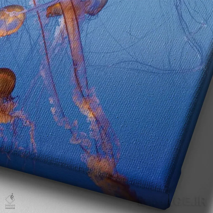 تابلو دکوراتیو captive, California,عروس دریایی پاسیفیک سی نتل، در اسارت، کالیفر… اثر جف فوت - نمای نزدیک بافت بوم