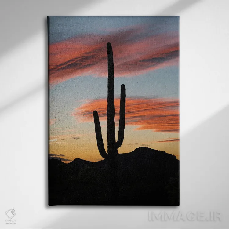 تابلو دکوراتیو Organ Pipe Cactus National Monument, Arizona,کاکتوس ساگوارو در غ… اثر جف فوت - نمای روبهرو روی دیوار