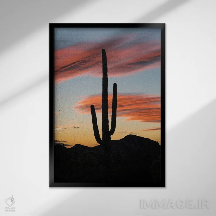تابلو دکوراتیو Organ Pipe Cactus National Monument, Arizona,کاکتوس ساگوارو در غ… اثر جف فوت - نمای قابدار مشکی