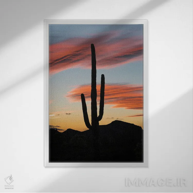 تابلو دکوراتیو Organ Pipe Cactus National Monument, Arizona,کاکتوس ساگوارو در غ… اثر جف فوت - نمای قابدار سفید