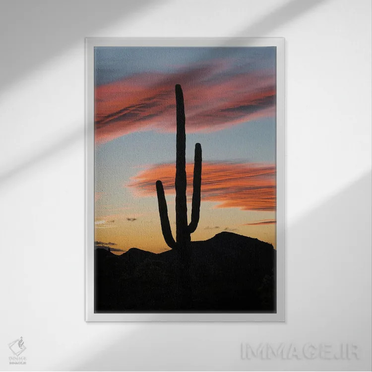 تابلو دکوراتیو Organ Pipe Cactus National Monument, Arizona,کاکتوس ساگوارو در غ… اثر جف فوت - نمای قابدار سفید