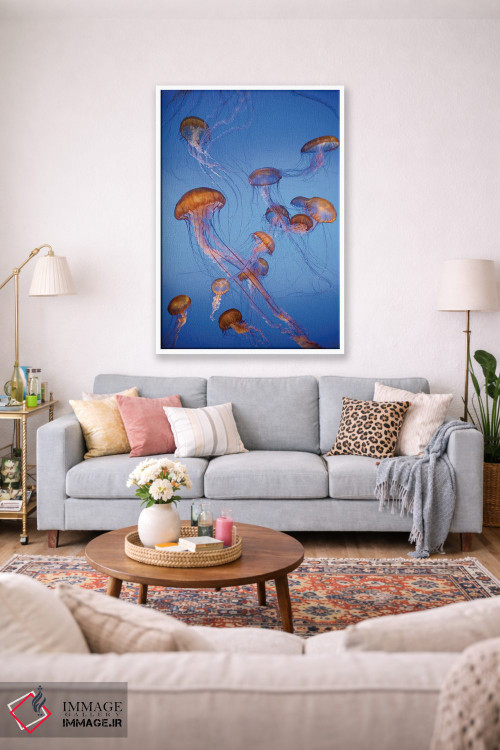 تابلو دکوراتیو captive, California,عروس دریایی پاسیفیک سی نتل، در اسارت، کالیفر… اثر جف فوت - D1W