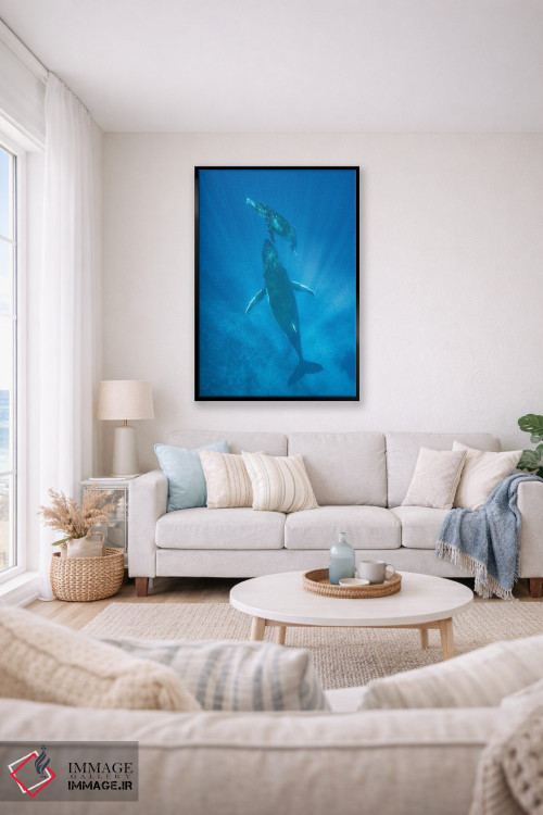 تابلو دکوراتیو Tonga,نهنگ گوژپشت مادر و توله اش، تونگا اثر جف فوت - D1B