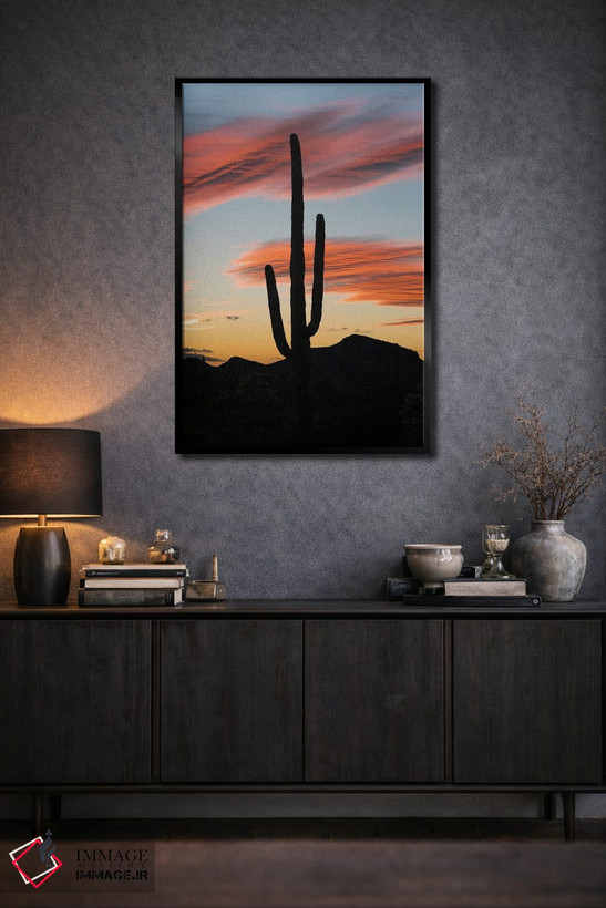 تابلو دکوراتیو Organ Pipe Cactus National Monument, Arizona,کاکتوس ساگوارو در غ… اثر جف فوت - D3B