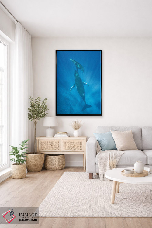 تابلو دکوراتیو Tonga,نهنگ گوژپشت مادر و توله اش، تونگا اثر جف فوت - D5B