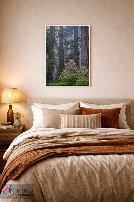 تابلو دکوراتیو Redwood National Park, California,رودودندرون اقیانوس آرام در جنگ… اثر جف فوت - D6W