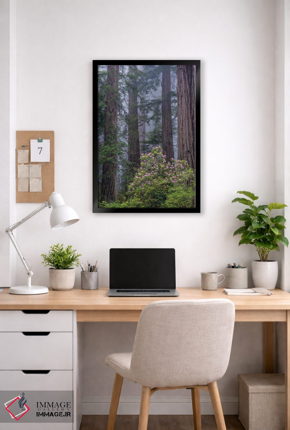 تابلو دکوراتیو Redwood National Park, California,رودودندرون اقیانوس آرام در جنگ… اثر جف فوت - D5B