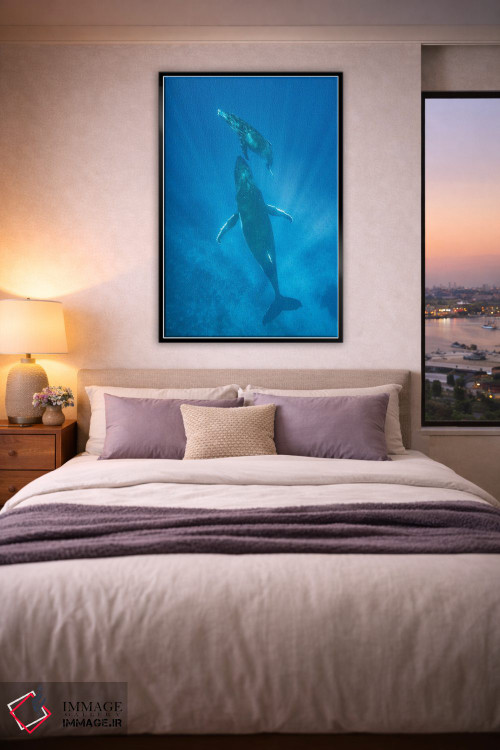 تابلو دکوراتیو Tonga,نهنگ گوژپشت مادر و توله اش، تونگا اثر جف فوت - D6B