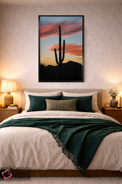 تابلو دکوراتیو Organ Pipe Cactus National Monument, Arizona,کاکتوس ساگوارو در غ… اثر جف فوت - D5B