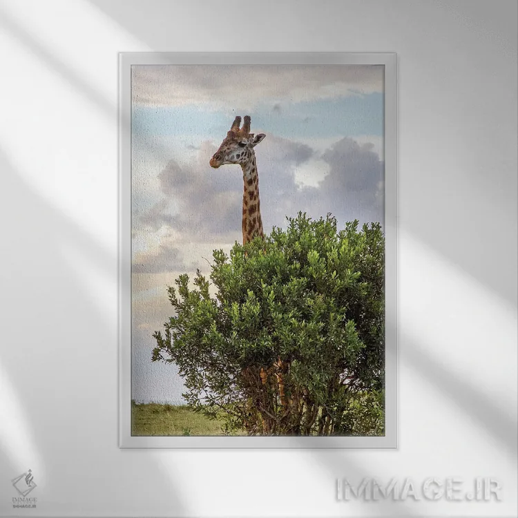 تابلو دکوراتیو درخت شاخ دار اثر جنت فیکار - نمای قابدار سفید