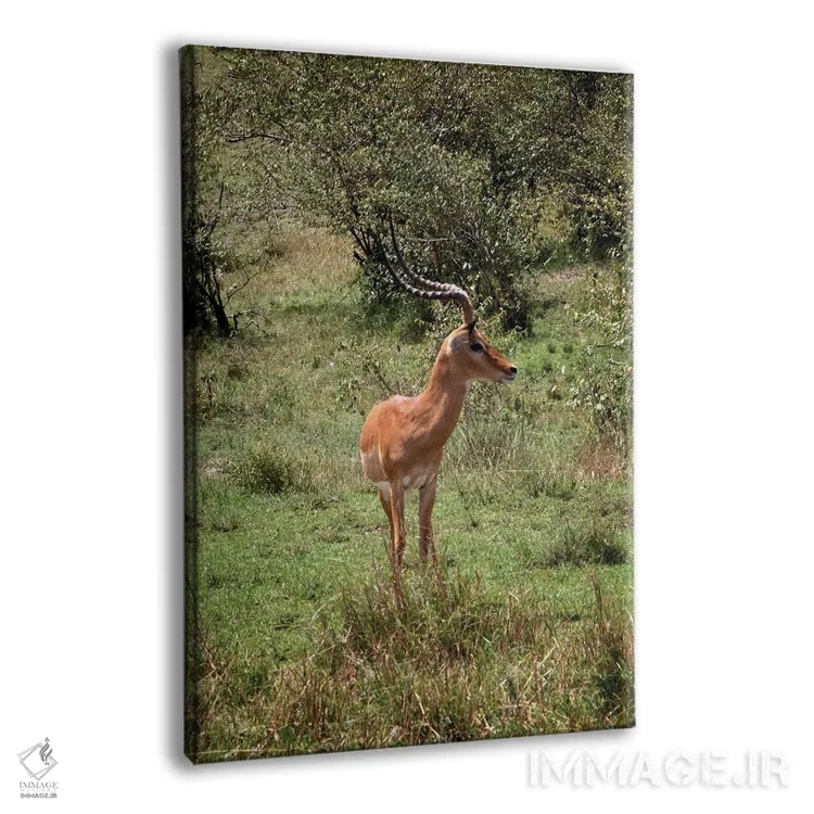 تابلو دکوراتیو تنها اثر جنت فیکار - نمای پرسپکتیو محصول