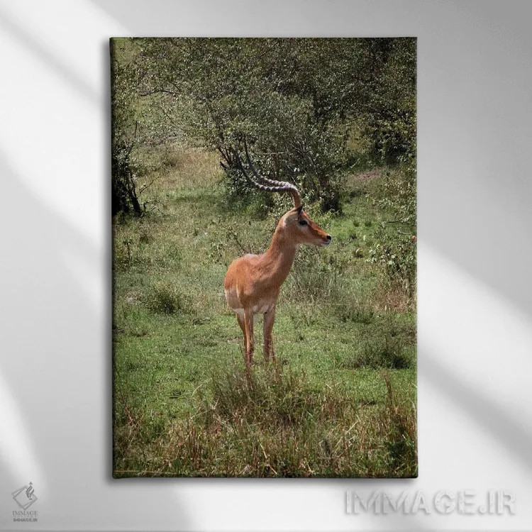 تابلو دکوراتیو تنها اثر جنت فیکار - نمای روبهرو روی دیوار