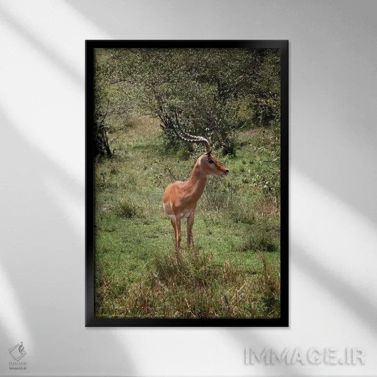 تابلو دکوراتیو تنها اثر جنت فیکار - نمای قابدار مشکی