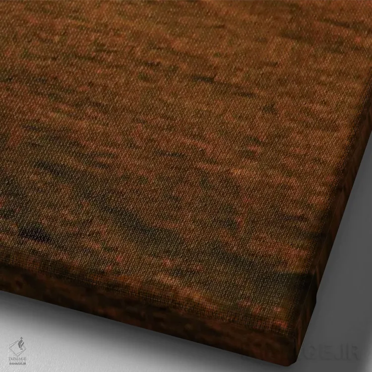 تابلو دکوراتیو بالن هوای گرم بر فراز مارا II اثر جنت فیکار - نمای نزدیک بافت بوم