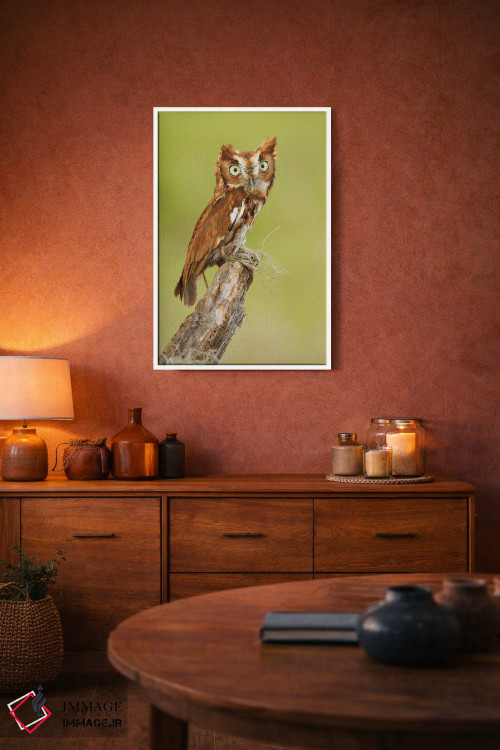 تابلو دکوراتیو کوچک اما قدرتمند اثر جنت فیکار - D3W